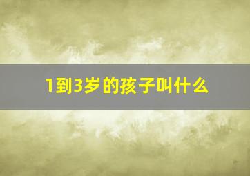 1到3岁的孩子叫什么