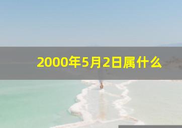 2000年5月2日属什么