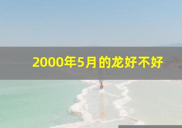 2000年5月的龙好不好