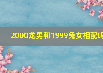 2000龙男和1999兔女相配吗