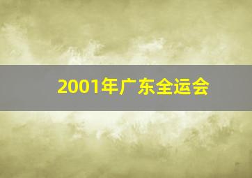 2001年广东全运会