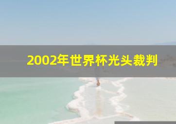 2002年世界杯光头裁判