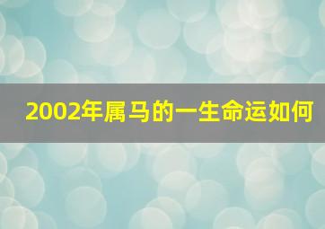 2002年属马的一生命运如何