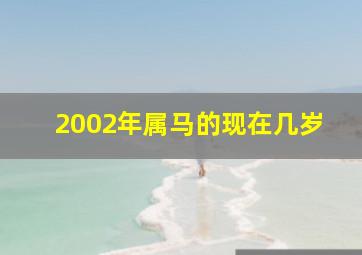 2002年属马的现在几岁