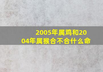 2005年属鸡和2004年属猴合不合什么命