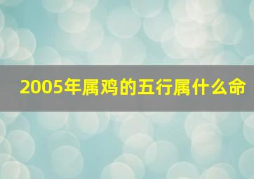 2005年属鸡的五行属什么命