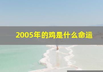 2005年的鸡是什么命运