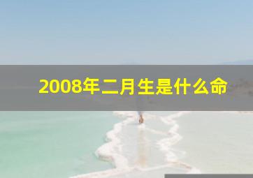 2008年二月生是什么命