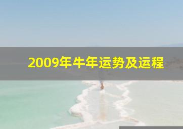 2009年牛年运势及运程