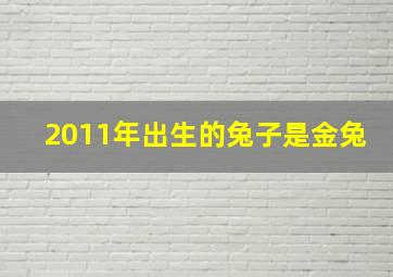 2011年出生的兔子是金兔