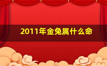 2011年金兔属什么命