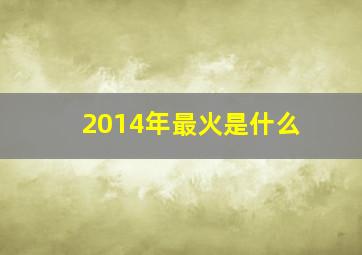 2014年最火是什么