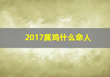 2017属鸡什么命人