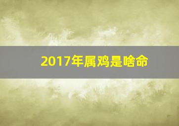 2017年属鸡是啥命