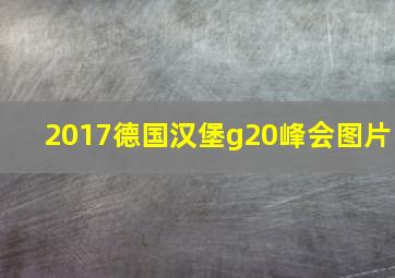 2017德国汉堡g20峰会图片