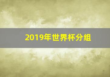 2019年世界杯分组