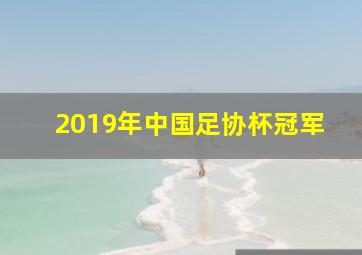 2019年中国足协杯冠军