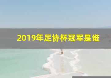 2019年足协杯冠军是谁