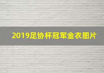 2019足协杯冠军金衣图片