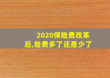 2020保险费改革后,险费多了还是少了