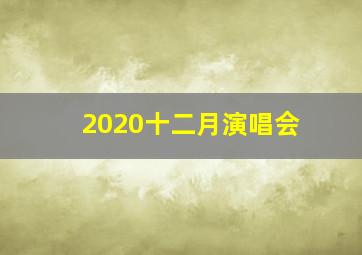 2020十二月演唱会