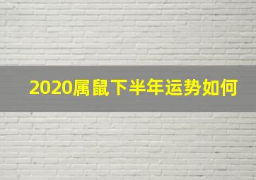 2020属鼠下半年运势如何