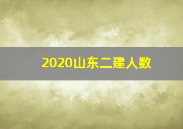 2020山东二建人数