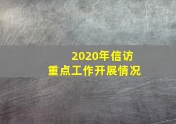 2020年信访重点工作开展情况