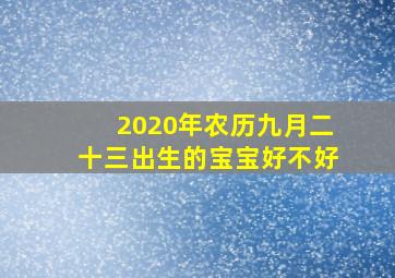 2020年农历九月二十三出生的宝宝好不好