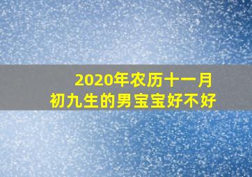 2020年农历十一月初九生的男宝宝好不好