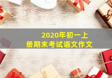 2020年初一上册期末考试语文作文