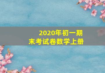 2020年初一期末考试卷数学上册