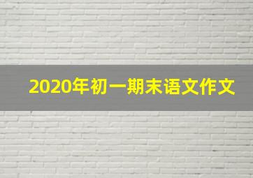 2020年初一期末语文作文