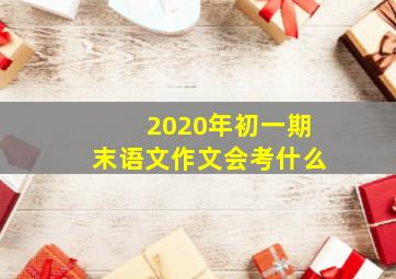 2020年初一期末语文作文会考什么