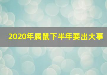 2020年属鼠下半年要出大事