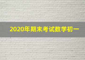 2020年期末考试数学初一