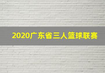 2020广东省三人篮球联赛