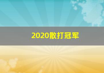 2020散打冠军