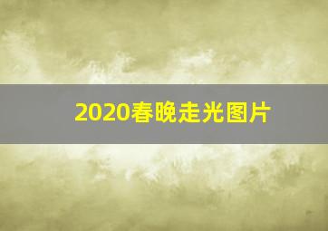 2020春晚走光图片