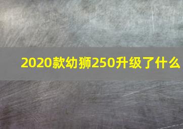 2020款幼狮250升级了什么