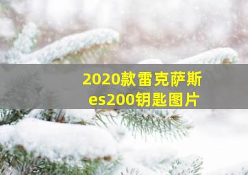 2020款雷克萨斯es200钥匙图片