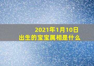 2021年1月10日出生的宝宝属相是什么