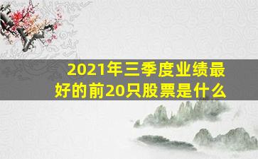 2021年三季度业绩最好的前20只股票是什么