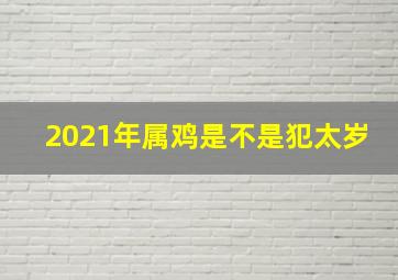 2021年属鸡是不是犯太岁