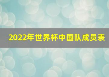 2022年世界杯中国队成员表