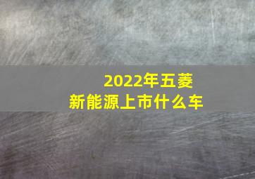 2022年五菱新能源上市什么车