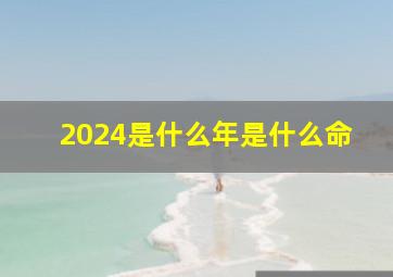 2024是什么年是什么命