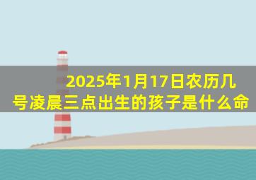 2025年1月17日农历几号凌晨三点出生的孩子是什么命