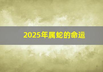 2025年属蛇的命运