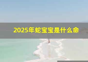 2025年蛇宝宝是什么命